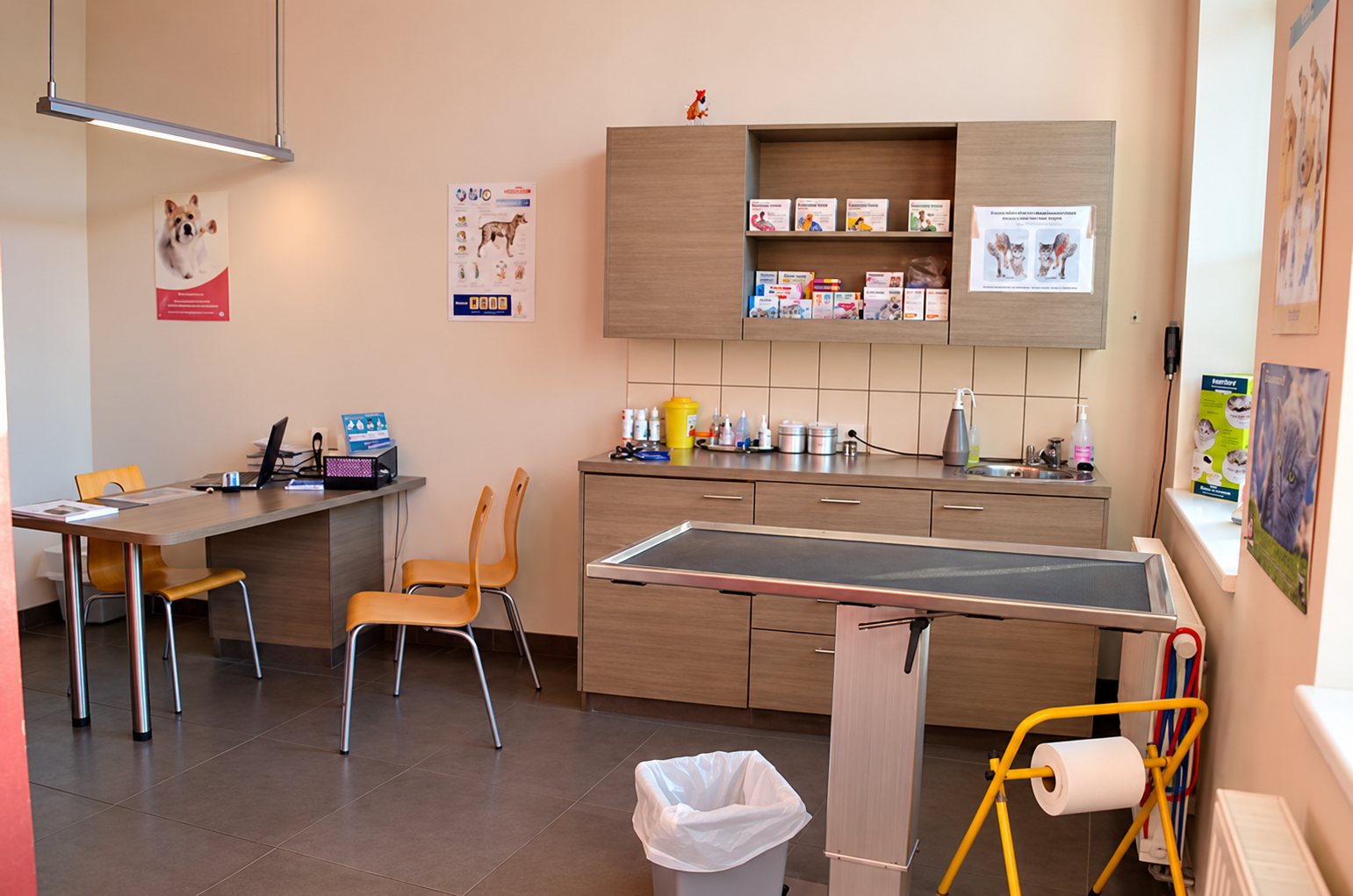 Salle de consultation d'une clinique vétérinaire aux murs roses, avec une table d'examen en inox, un meuble de rangement, un bureau et des chaises orange.